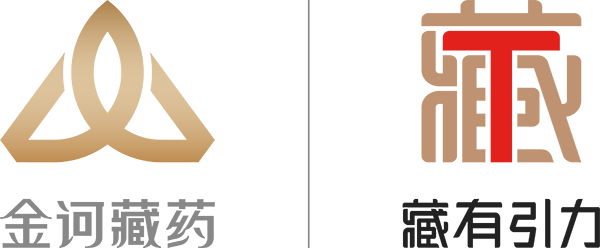 镇江新区大港藏式健康管理中心logo