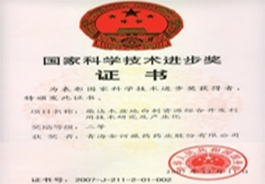 国家科学技术进步二等奖